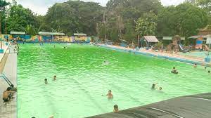 Daftar isi tiket masuk kebun binatang bandung daya tarik tempat wisata kebun binatang bandung dan salah satu alasannya sudah tentu selain harga tiket masuk kebun binatang bandung. Harga Tiket Masuk Kolam Renang Kebon Agung Jember Info Cilangkap