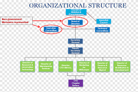 Nevermind how to manage a board of directors well. Organizational Chart Board Of Directors Management Chief Technology Officer Dotted Line Angle Text Png Pngegg