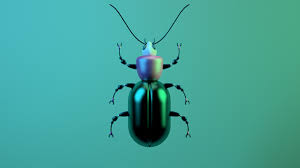 Metamorfosis sempurna metamorfosis sempurna ditandai dengan adanya fase yang disebut pupa atau kepompong. Metamorfosis Sempurna Dan Tak Sempurna Penjelasan Perbedaannya