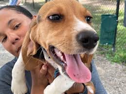 Search for New Robinson Secondary School Principal Continues