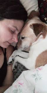 SHOW US A PICTURE 📸 🥰 National Love Your Pet Day is a holiday celebrated 