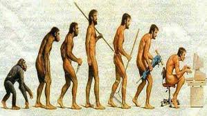 Sintiana Braune Sintianabraune