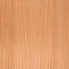 Image result for Khaya