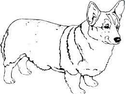 Corgi Outline Google Search Corgi Coloring Pages Corgi Dog