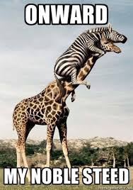 20 Pictures That Will Make You Feel Happy Hump Day Humor Animal Memes Hump Day Pictures