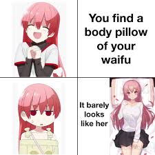 Ill go with what I get though : rAnimemes