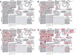 Comment and share your favourite lyrics. Too Little Too Late Transcription During Imbibition Of Lethally Aged Soybean Seeds Is Weak And Delayed But Not Aberrant Biorxiv