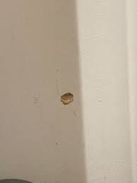 Maybe you would like to learn more about one of these? Small Hole In The Wall Any Cheap Methods Of Fixing This Fixit