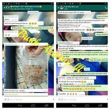 Balkhis abdul aziz is one of the panel doctors here that can perform medical screening for fomema. Butik Balqis Murah Sangat Senawang Seremban 2021