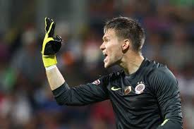 Football statistics of tomáš vaclík including club and national team history. Tomas Vaclik Alchetron The Free Social Encyclopedia