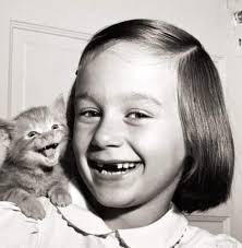 why are people filming animal abuse?