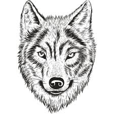 33 Wolfskopf Tattoo Vorlage Besten Bilder Von Ausmalbilder