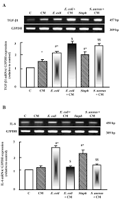 So just how long can a camel go without water before its hump starts to slump? Protective Effects Of Camel Milk Against Pathogenicity Induced By Escherichia Coli And Staphylococcus Aureus In Wistar Rats