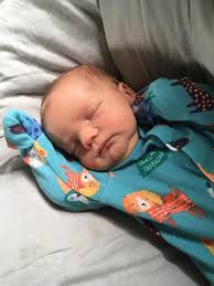 To Baby Or Not To Baby