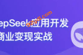 DeepSeek 应用开发与商业变现实战-92资源站-IT学习网-每日更新