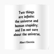 11 life lessons from albert einstein to highlight the importance of imagination, moving forward, and learning to achieve your best life! Albert Einstein Human Stupidity Quote Poster By Lazarindustries Redbubble