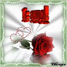 Https Encrypted Tbn0 Gstatic Com Images Q Tbn And9gct84hw8gyij Ecbsozlox 3tvvaniovqtfojg Usqp Cau
