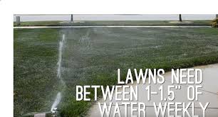 Most lawns need at least 1 inch of water per week, so if you plan to water twice a week, you must know how long it takes to spread 1/2 inch of water over your lawn. How Often Should I Water My Lawn Elkhart Irrigation