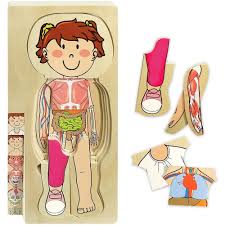 527 3d anatomy models available for download. Kidzlane Wooden My Body Puzzle For Toddlers Kids 29 Piece Girls Anatomy Play Set Ages Educational Toys Planet