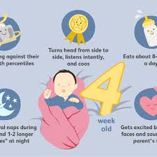 27 days could be the answer to how many days are there between the first day of 4. Your 4 Week Old Baby Development Milestones