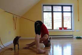 Prasarita Padottanasana Iyengar Yoga Hatha Yoga Yoga Rope