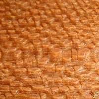 Leopard Wood Sample Leopard Wood Wood Sample Wood