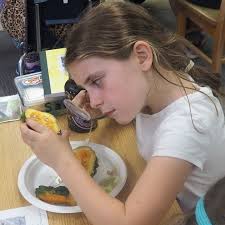 Bristol Elementary School