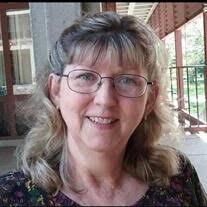 Robin Ruth Lauer Obituary