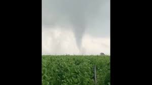 Their winds may top 250 miles an hour and also known as twisters, tornadoes are born in thunderstorms and are often accompanied by hail. Bqfaavzl3yx3am