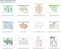 What Is The Best Software For Creating Organizational Charts