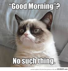 Funny Cat Pictures With Captions For Facebook We Love These Funny Cat Captions Kucing Pemarah Gambar Terlucu