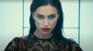 beverly — Stephen Fitzgibbon