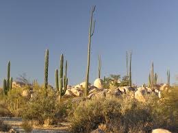 Comfortable places with all the essentials. Catavina Wikiwand