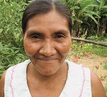 libro plantas medicinales1