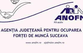 Firma germana angajeaza oameni serioși și dornici de munca in abator. 95 De Locuri De MuncÄƒ Vacante In Pascani Impact Fm