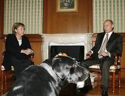 Putin with his alabai puppy named verni, 2017. What S With World Leaders Giving Vladimir Putin Puppies As Gifts The Washington Post