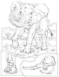 Coloring Book Animals A To I Animal Coloring Pages Elephant Coloring Page Coloring Books