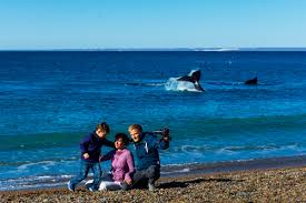 Playa santiago (also known as playa de santiago) is a small town on the south coast of the island of la gomera in the canary islands. El Gobierno Nacional Confirmo Cuales Seran Los Feriados Turisticos Del 2021 Rtn