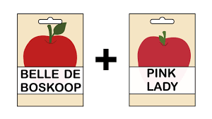 Fruit trees are not only beautiful to look at, they give you food. How To Grow An Apple Tree From A Seed With Pictures Wikihow