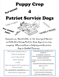 Come Help Us Help Our Disabled Military Get The Service Dog They Deserve We Are Making A Difference 4 Paws At A Time Service Dogs Types Of Disability Phrase