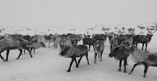 Finland) is one of the nordic countries in northern europe. Why Finland Is The Next Great Travel Frontier Travelage West