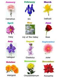 The tall stalks and vibrant colors of larkspurs symbolize positivity and love. Flowers Boquette Tattoo Birth Month 43 Ideas Birth Month Flowers Birth Flowers Birthday Month Flowers