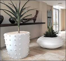 Ceramic pots or planters that are supplied with a matching saucer ensure that your plants look their best. Large Indoor Plants Low Light Office Furniture Large Indoor Plants Large Plant Pots Indoor Plants Low Light