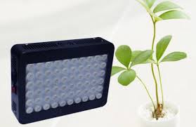 China 300w Panel Cheap Led Grow Light With Small Moq China Led Grow Light Led Plant Light