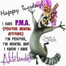 Tuesdayy Happy Tuesday Quotes Morning Quotes Funny Tuesday Quotes Funny
