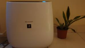 Review Sharp Air Purifier Plasmacluster Fp J30y B P A Untuk Penjernih Udara Kamar
