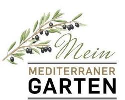Wann Sind Olivenba Ume Winterhart Standort Und Olivensorten Mediterraner Garten Mediterrane Pflanzen Garten