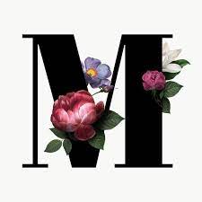 Classic And Elegant Floral Alphabet Font Letter M Transparent Png Free Image By Rawpixel Com Manota Fonts Alphabet Lettering Fonts Lettering Alphabet Fonts