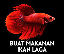 Ikan adalah salah satu jenis makanan yang paling digemari. Cara Membuat Makanan Ikan Laga Lebih Jimat Dan Mudah