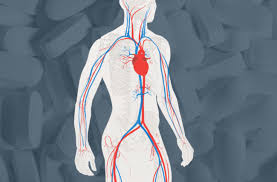 The bone marrow contains stem. Are You Taking Too Much Calcium A Or D Health Essentials From Cleveland Clinic